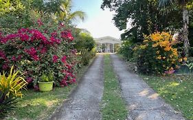 Jardin Des Anges-Bungalows Creoles Et Studio