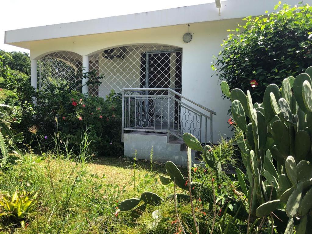 Jardin Des Anges-Bungalows Creoles Et Studio Le Moule Extérieur photo